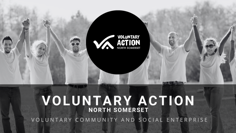 Voluntary Action North Somerset website portfolio